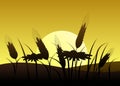 Silhouette of wheat and flowers against the sun. Royalty Free Stock Photo