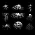 Silhouette White Tree Roots Various Types Shapes Set. Vector