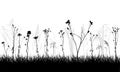 Silhouette wild plants and weeds, meadow. Vector illustration Royalty Free Stock Photo