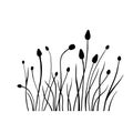 Silhouette wildflowers grass field. Vector black hand drawn illustration with spring or summer flowers. Shadow of herb Royalty Free Stock Photo