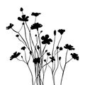 Silhouette wildflowers grass. Vector black hand drawn illustration with spring or summer flowers. Shadow of herb and Royalty Free Stock Photo