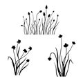 Silhouette wildflowers grass. Vector black hand drawn illustration with spring or summer flowers. Shadow of herb and Royalty Free Stock Photo