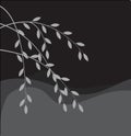 Silhouette of willow branch Royalty Free Stock Photo