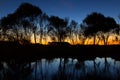 Silhouette Willow Trees