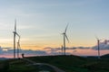 Silhouette wind generators turbines on sunset summer landscape i