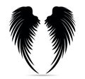 Silhouette wings. Vector illustration on white background. Black