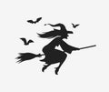 Silhouette witch flying on broomstick. Halloween vector