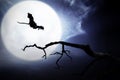 Silhouette of witch flying with broomstick