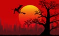 Silhouette of a witch flying on a broomstick and an old branchy oak against the backdrop of the setting sun and the city in the