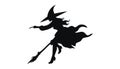 Silhouette witches flying on a broom maggic, with a white background Royalty Free Stock Photo