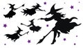 Silhouette witches flying on a broom maggic, with a white background Royalty Free Stock Photo