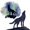 Silhouette wolf on the background of the northern lights watercolor. Set