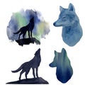 Silhouette wolf on the background of the northern lights watercolor. Set