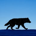 Silhouette of a wolf (Canis lupus) walking on a flat surface Royalty Free Stock Photo