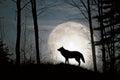 Silhouette of a Wolf in the forest at night with full supermoon in the background. Generative Ai