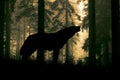 Silhouette of a wolf howling in the woods