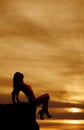 Silhouette woman bikini sit edge Royalty Free Stock Photo