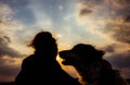 silhouette of woman and dog head at sunset pet teraphy