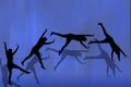 Silhouette Of Woman Doing Cartwheels Royalty Free Stock Photo