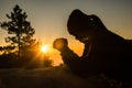 Silhouette of woman kneeling down praying for worship God at sky background. Christians pray to jesus christ for calmness. In Royalty Free Stock Photo