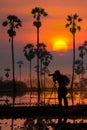 Silhouette of woman photographer in a palm tree garden at sunrise Royalty Free Stock Photo