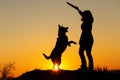 Silhouette woman playing with dog in the field, pet jumping for wooden stick in girl`s hand on nature, German shepherd breed,