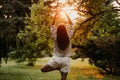 Silhouette woman practicing yoga in the forest at sunset. Meditation workout concept. Royalty Free Stock Photo