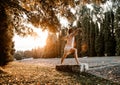 Silhouette woman practicing yoga in the forest at sunset. Meditation workout concept. Royalty Free Stock Photo