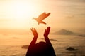 Silhouette woman praying and free bird pigeon flying in the sky enjoying nature foggy mist mountain sunrise or sunset on nature Royalty Free Stock Photo