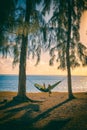 Silhouette of woman reading in hammock Royalty Free Stock Photo