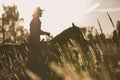 Silhouette of a woman riding a horse - sunset or sunrise