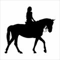 silhouette of a woman riding a horse, on a white background Royalty Free Stock Photo