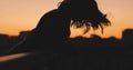 Silhouette of woman toss her hair at sunset in a city