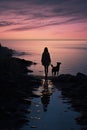 silhouette of woman walking with dog at beach, friendship of human and pet