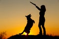 Silhouette woman walking with a dog in the field at sunset, a girl in an autumn jacket playing with pet throwing wooden stick on