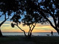 Silhouette of a woman walking her dog along bayside park at sunset