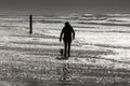 Silhouette of a woman walking with her dog at stormy weather at the beach Royalty Free Stock Photo