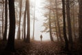 Silhouette of woman walks on footpath in dark foggy mystery forest alone