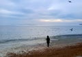 Silhouette of a woman in winter clothes on the background of the frozen sea. Winter evening on the beach, seagulls, pigeons.