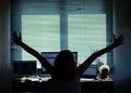 silhouette of a woman working in a home office - social media influence, blogger, vlogger, freedom