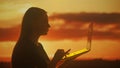 Silhouette of a woman working at a laptop at sunset Royalty Free Stock Photo