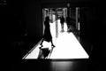 Silhouette of Women on Train Station