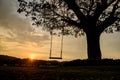 Silhouette of a wooden swing under the tree. Lonely and relaxing golden light on sunset on summer Royalty Free Stock Photo