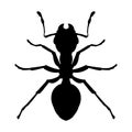 Silhouette of a worker black ant. Vector icon or emblem of a domestic insect isolated on a white background Royalty Free Stock Photo