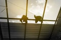 Silhouette workers working in construction site