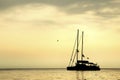 silhouette yacht in the sea background