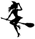 Witch flying on a broomstick silhouette 3