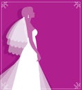 Silhouette of young bride in wedding dress and veil