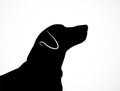 Silhouette of young cute dog Jack Russell Terrier. Curious pet looking upwards. Portrait of puppy`s muzzle. Vector illustration.