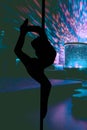 Silhouette of a young flexible girl hanging in a dancing pole performing in a strip club